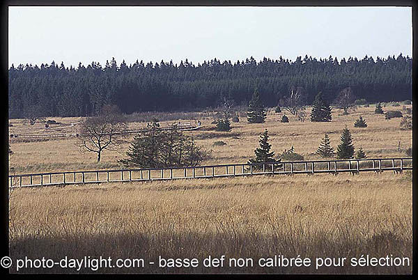 les Hautes Fagnes